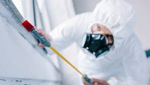 Best Residential Pest Control  in Coquille, OR